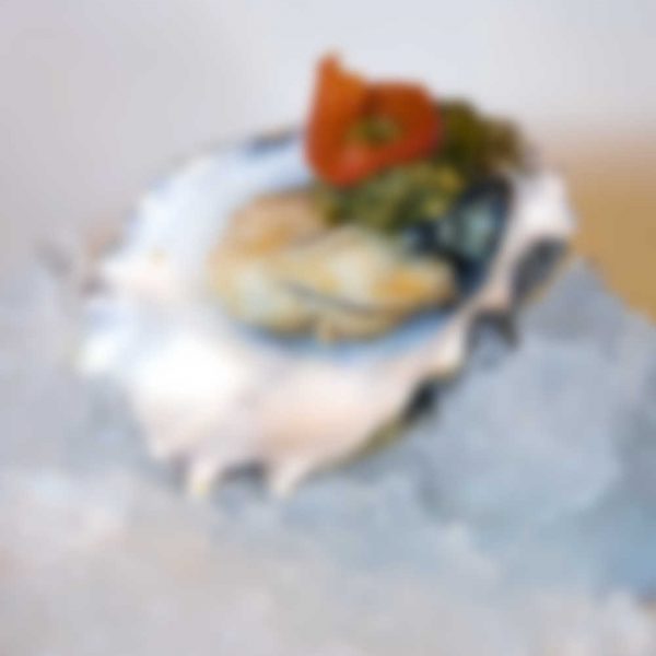 Gourmet Oysters